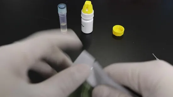 Ana Lyme Ehr Il test rapido combinato di anticorpi Anaplasma Lyme Ehrlichia